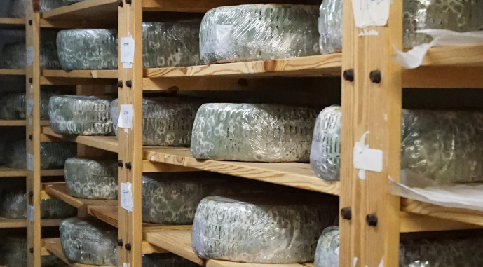 Cheeses from Sweden, Soldattorpets Mejeri, photo
